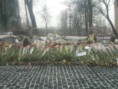 /album/fotogalereya/wp-000039-jpg/